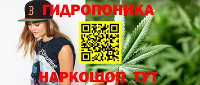 амф Новокубанск