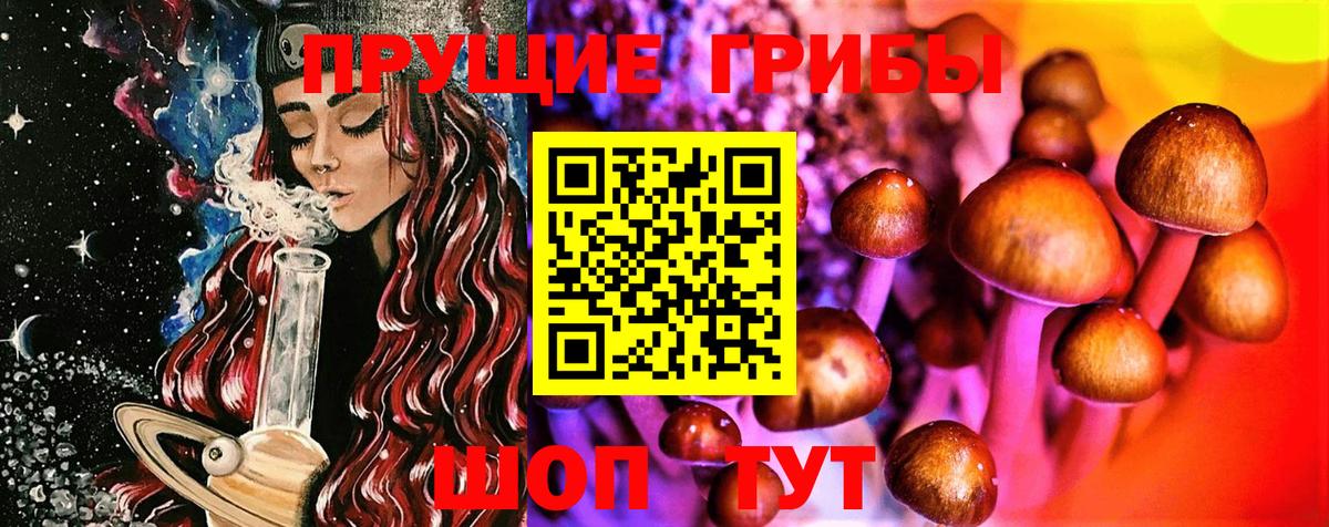Истра  купить наркотик  Вход с VPN  Галлюциногенные грибы ЛСД 